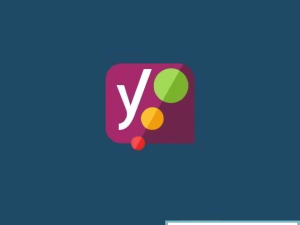Yoast SEO Premium v24.9 - Wordpress SEO Plugin