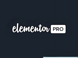 Elementor Pro v3.28.3 - Wordpress Page Builder & 5000+ Template Kits