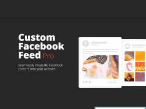 Embed Facebook Feeds Easily with Custom Facebook Feed Pro – GPL Version v4.6.6