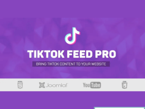 Showcase TikTok Content in Real Time with TikTok Feed PRO – GPL Version v4.2.9