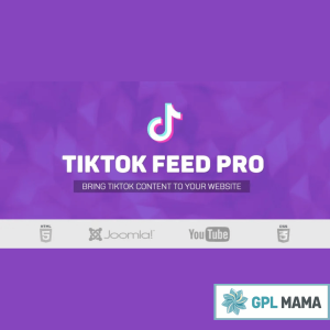 Showcase TikTok Content in Real Time with TikTok Feed PRO – GPL Version v4.2.9