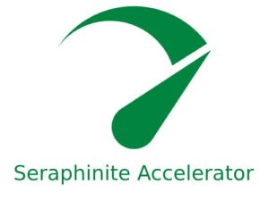 Seraphinite Accelerator Pro Download