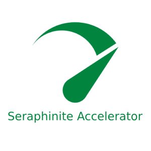 Seraphinite Accelerator Pro Download